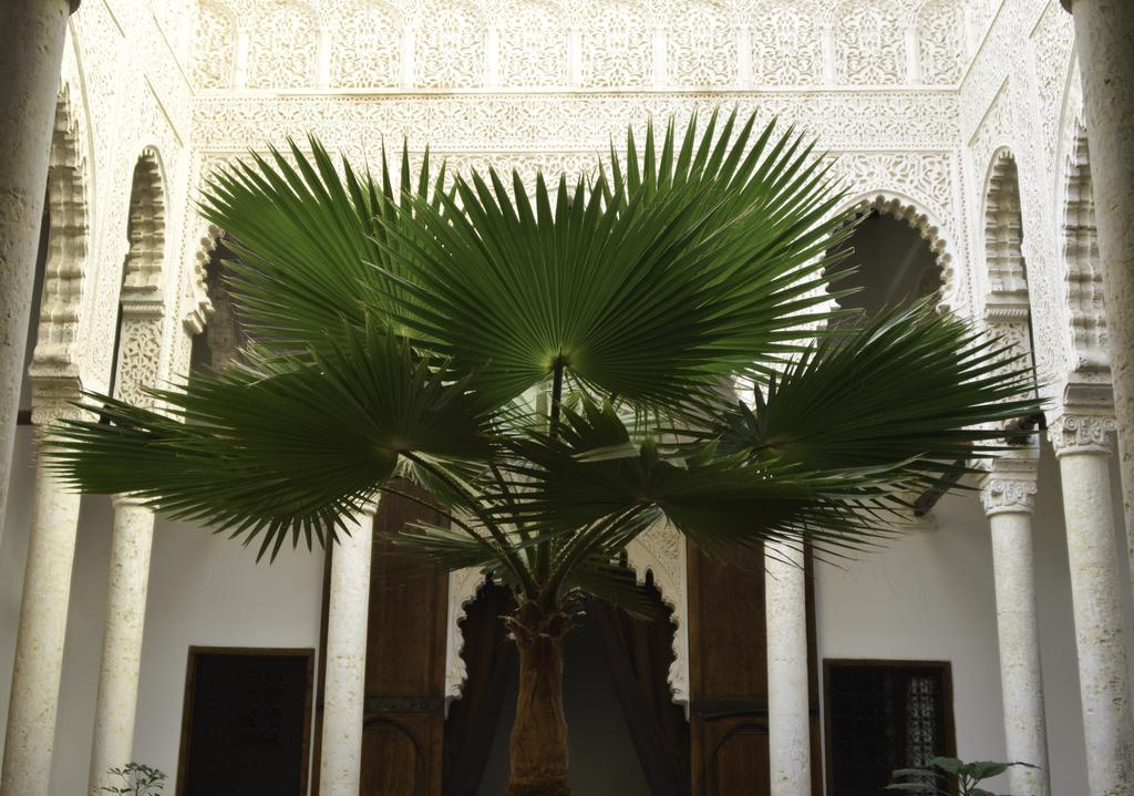 Riad Azahra Rabat Exterior foto